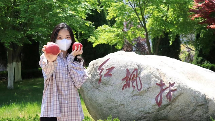 首页- 不朽情缘电子游戏官网
