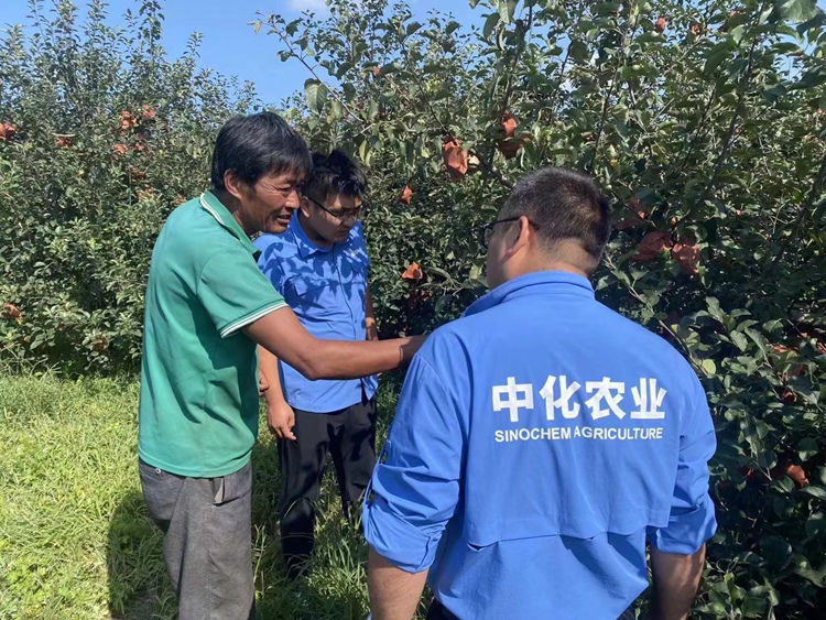 首页- 不朽情缘电子游戏官网