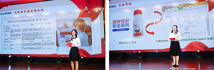 首页- 不朽情缘电子游戏官网