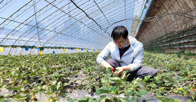 首页- 不朽情缘电子游戏官网
