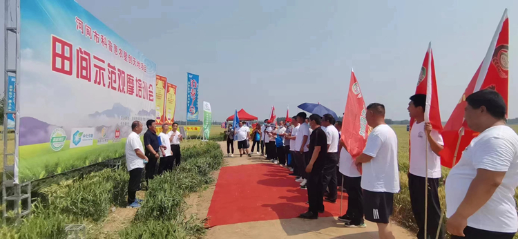 首页- 不朽情缘电子游戏官网