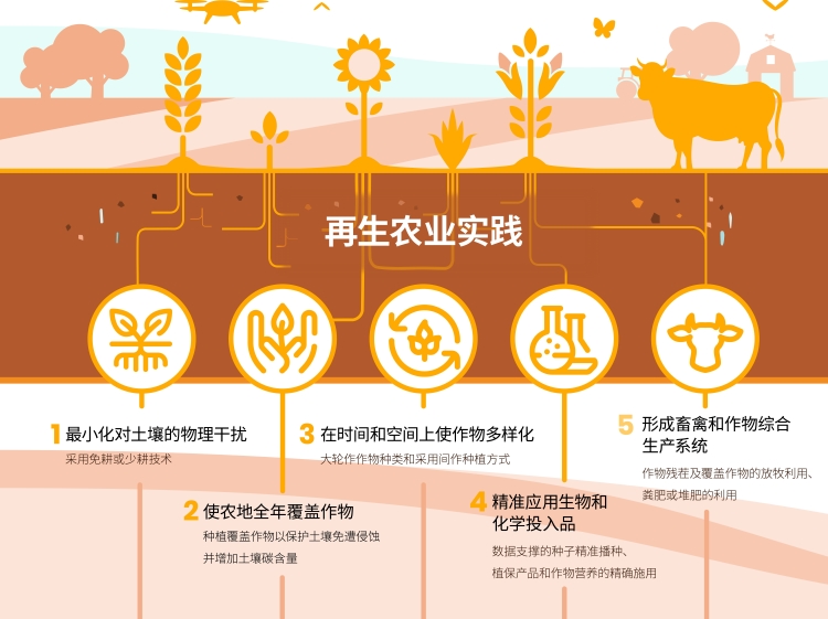 首页- 不朽情缘电子游戏官网