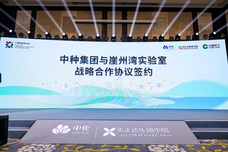 首页- 不朽情缘电子游戏官网