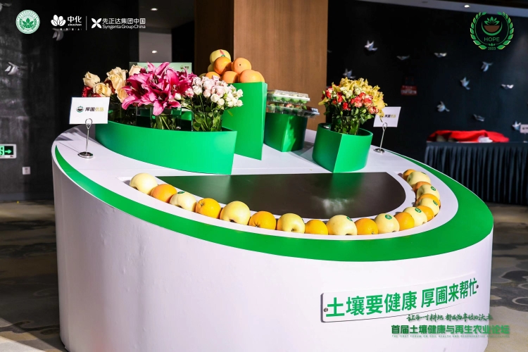 首页- 不朽情缘电子游戏官网