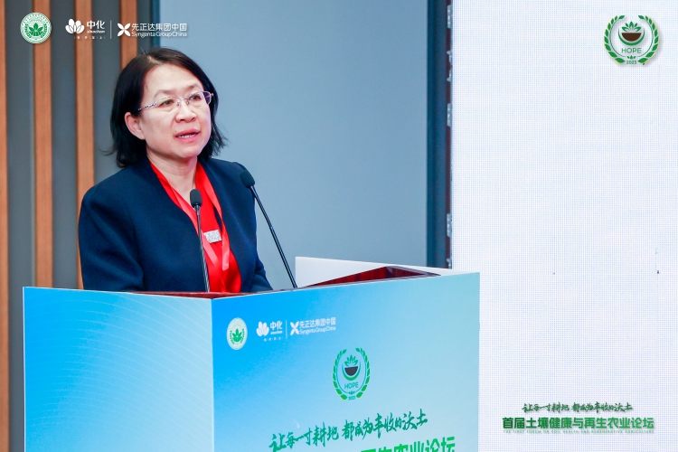 首页- 不朽情缘电子游戏官网
