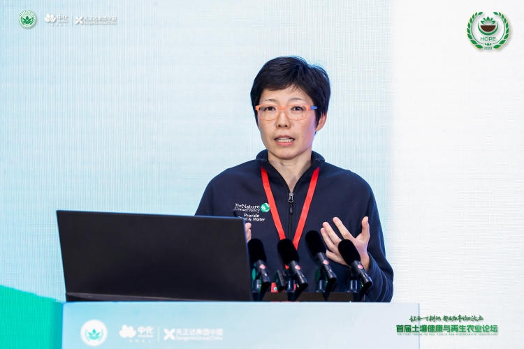 首页- 不朽情缘电子游戏官网