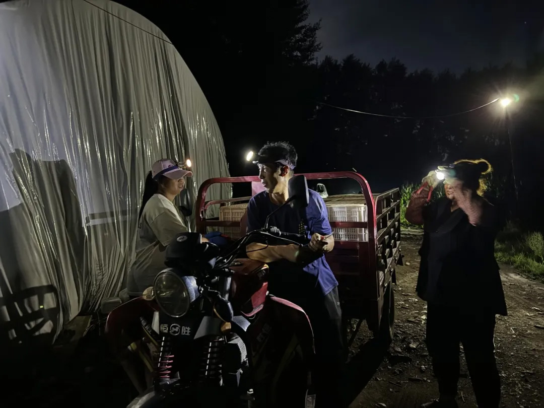 首页- 不朽情缘电子游戏官网