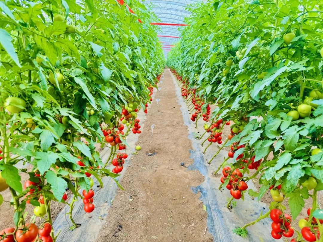 首页- 不朽情缘电子游戏官网