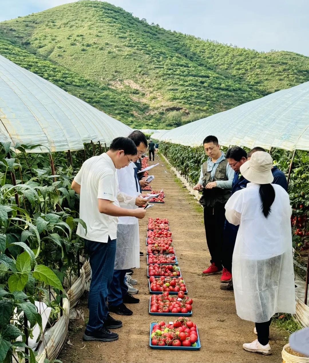 首页- 不朽情缘电子游戏官网