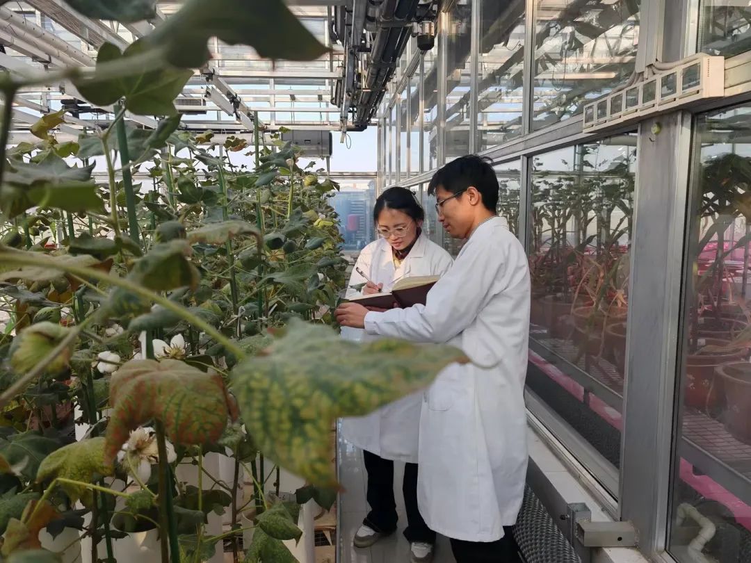 首页- 不朽情缘电子游戏官网
