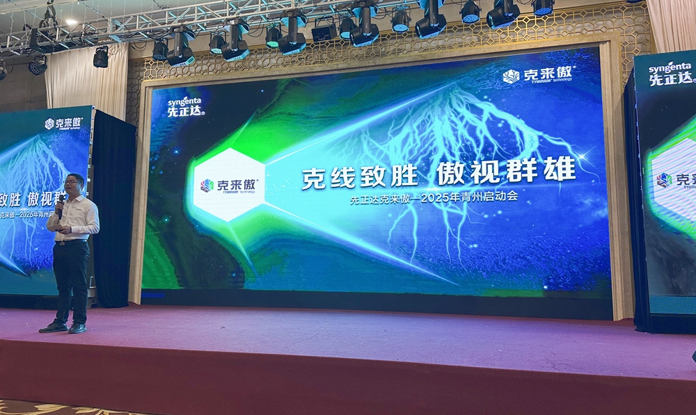 首页- 不朽情缘电子游戏官网