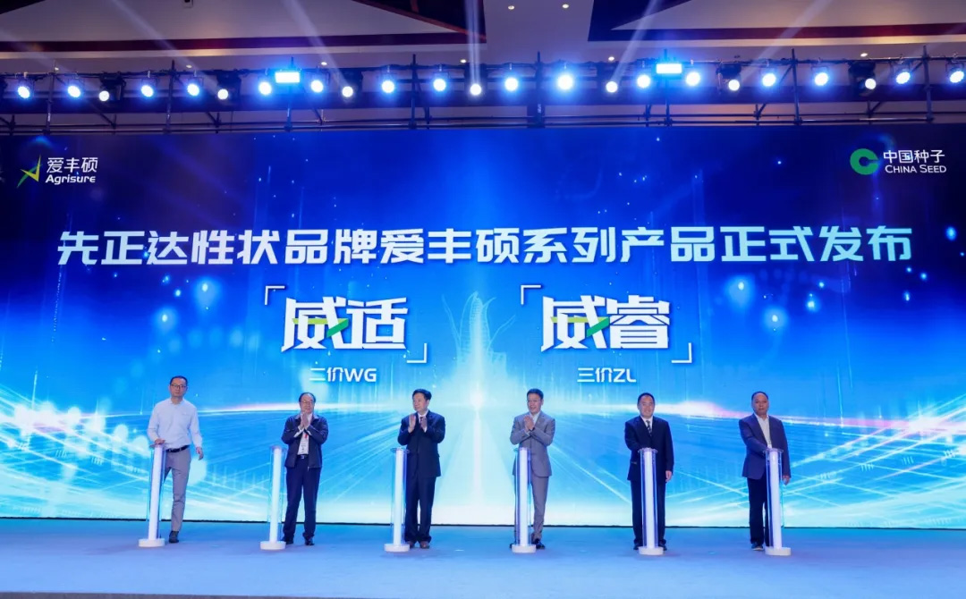首页- 不朽情缘电子游戏官网