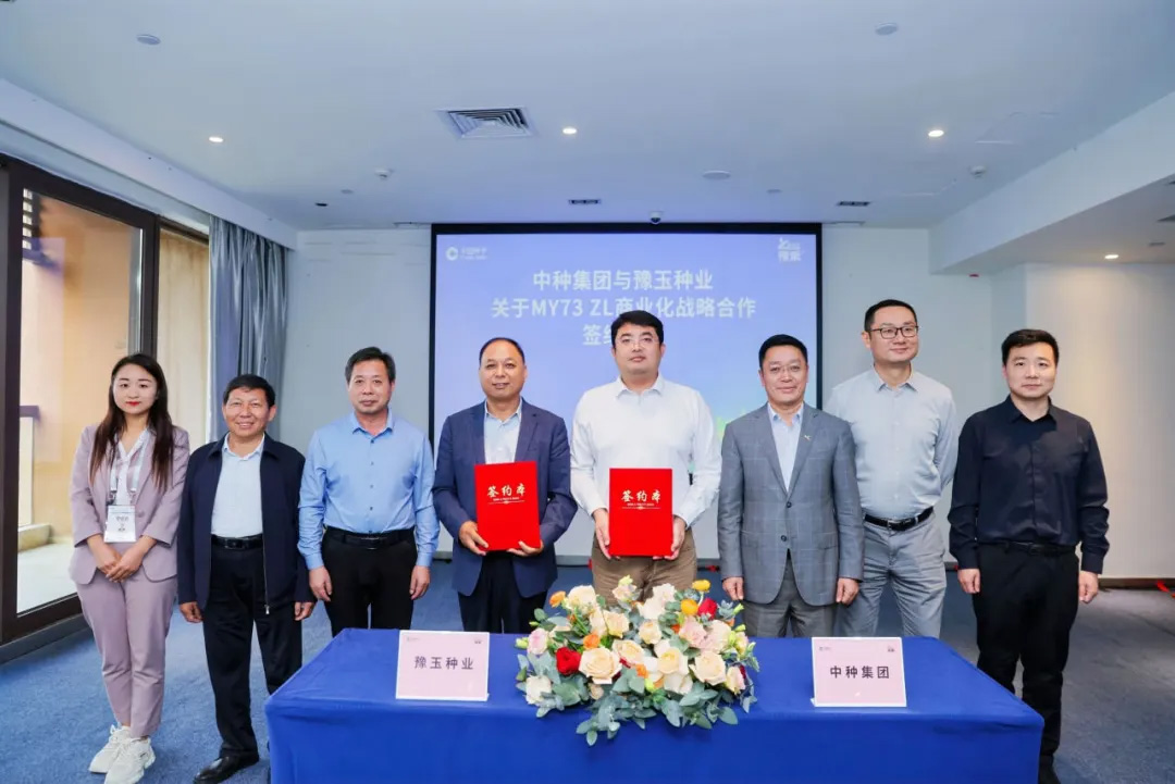 首页- 不朽情缘电子游戏官网
