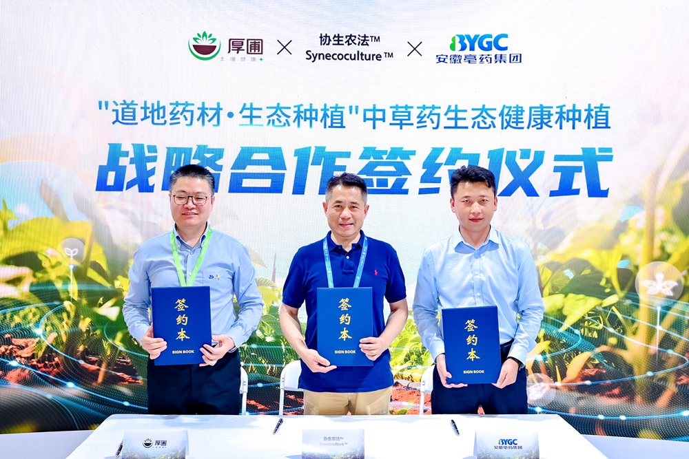 首页- 不朽情缘电子游戏官网