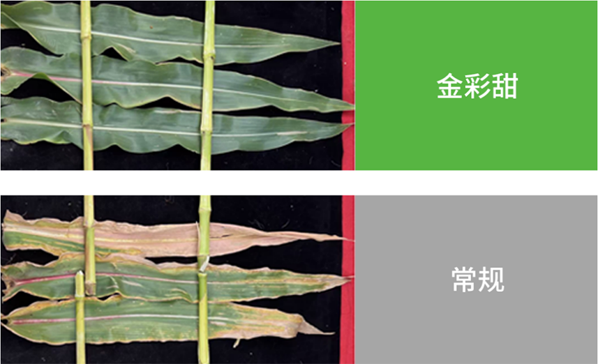 首页- 不朽情缘电子游戏官网