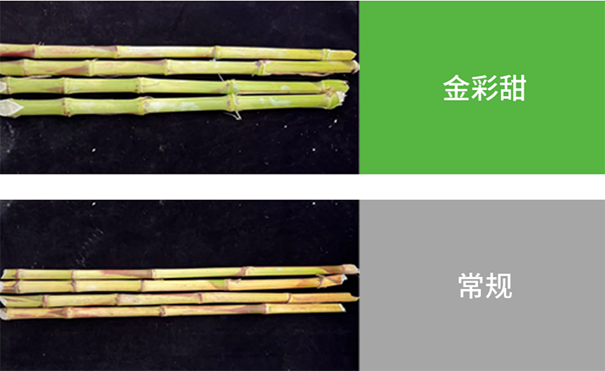 首页- 不朽情缘电子游戏官网