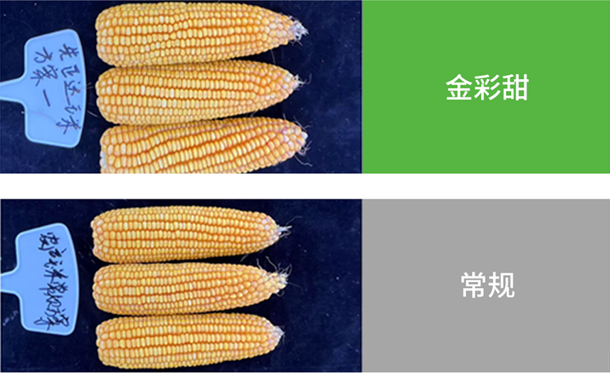 首页- 不朽情缘电子游戏官网