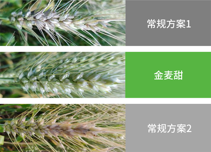 首页- 不朽情缘电子游戏官网