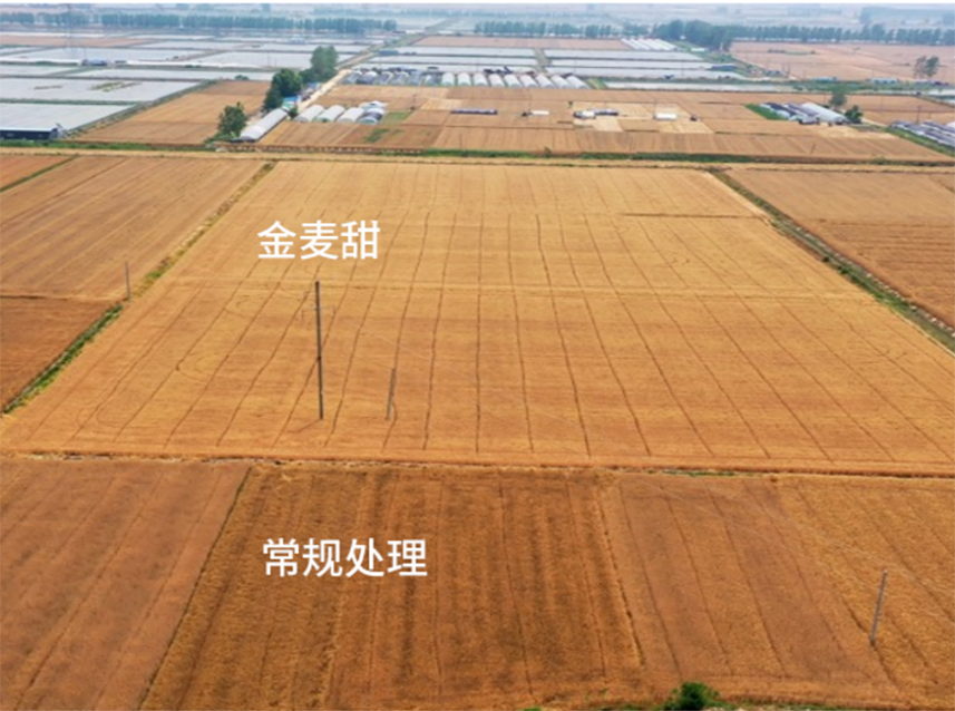 首页- 不朽情缘电子游戏官网