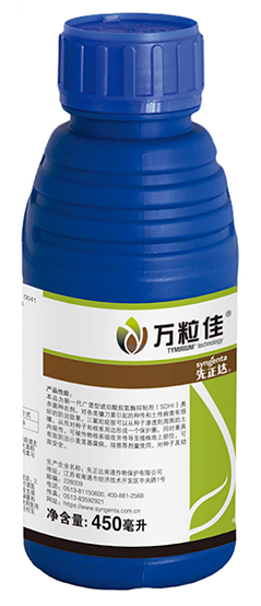 首页- 不朽情缘电子游戏官网