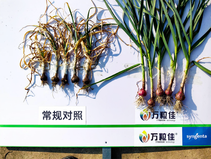 首页- 不朽情缘电子游戏官网
