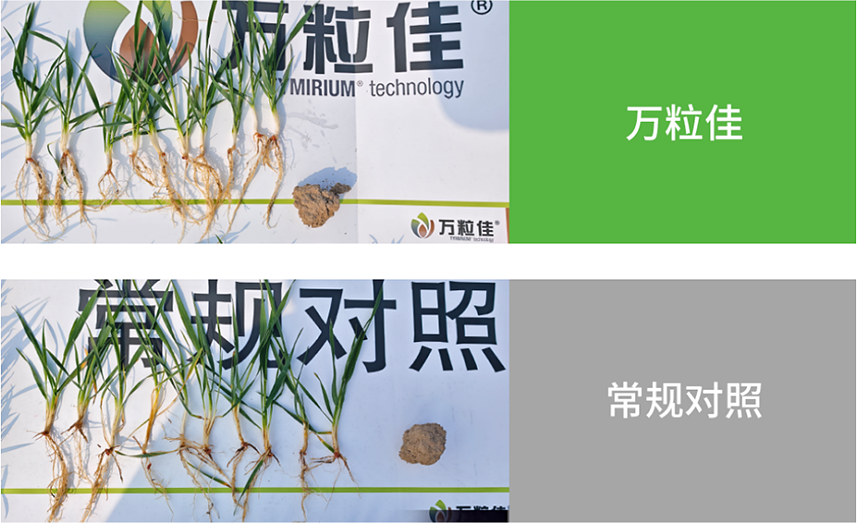 首页- 不朽情缘电子游戏官网