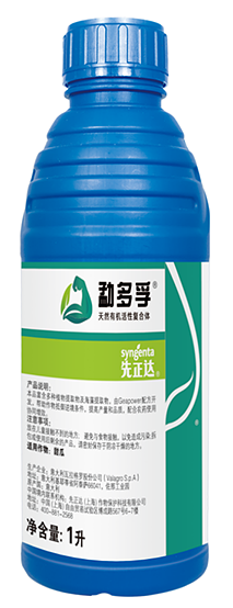 首页- 不朽情缘电子游戏官网