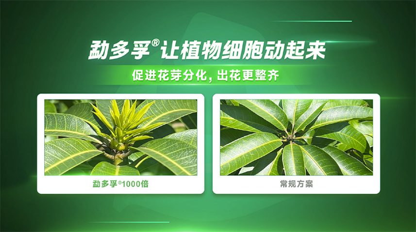 首页- 不朽情缘电子游戏官网