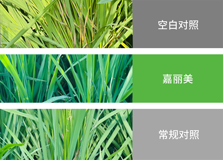 首页- 不朽情缘电子游戏官网