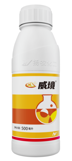 首页- 不朽情缘电子游戏官网