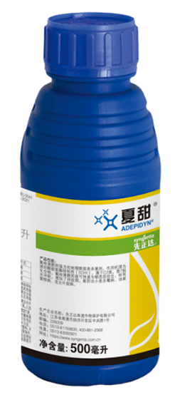 首页- 不朽情缘电子游戏官网