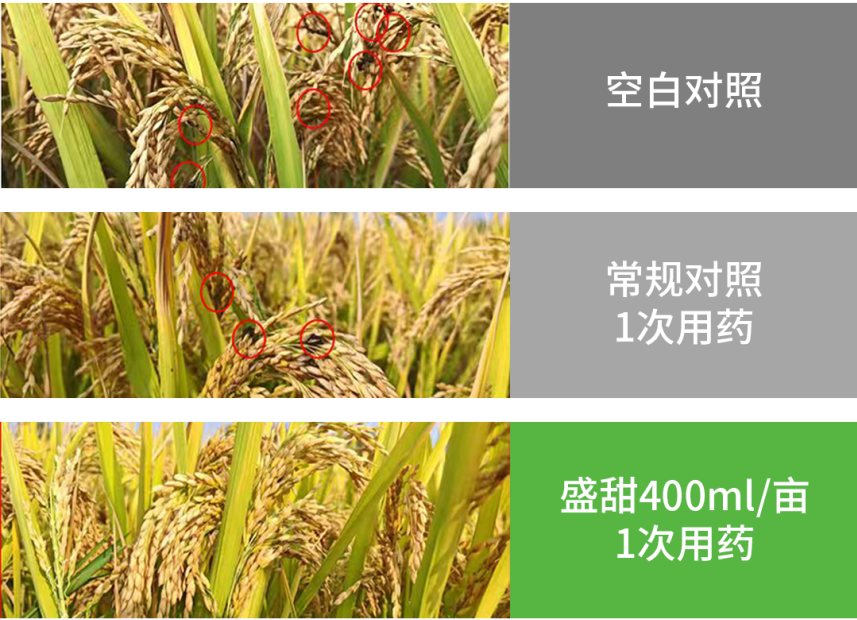 首页- 不朽情缘电子游戏官网