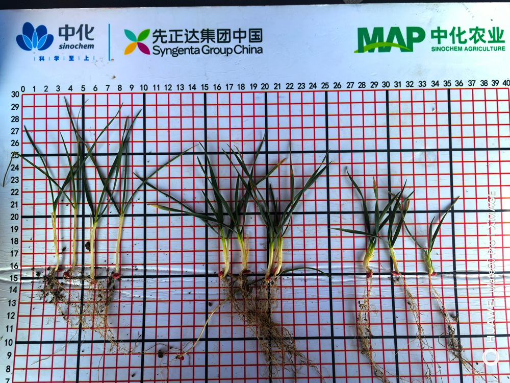 首页- 不朽情缘电子游戏官网