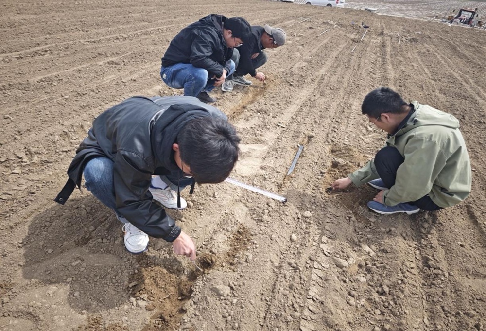 首页- 不朽情缘电子游戏官网