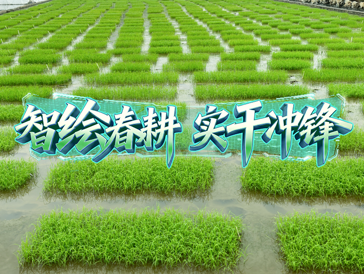 良种添动力，开启春耕“种”动员