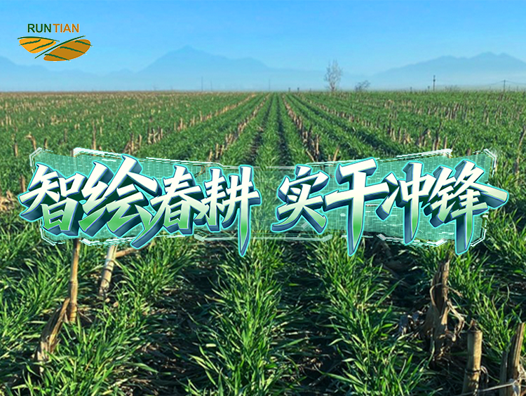 “润田”六年：让土壤“活”起来，让产量“提”上去