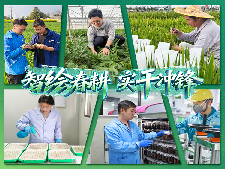 智绘春耕 | 以春为序，以耕作答，写下不朽情缘“春耕日记”