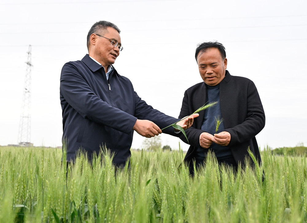 首页- 不朽情缘电子游戏官网